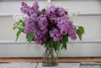 6 Kitchen Items to Repurpose as Stylish Flower Vases