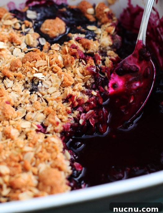 blueberry-crisp img 10126 1
