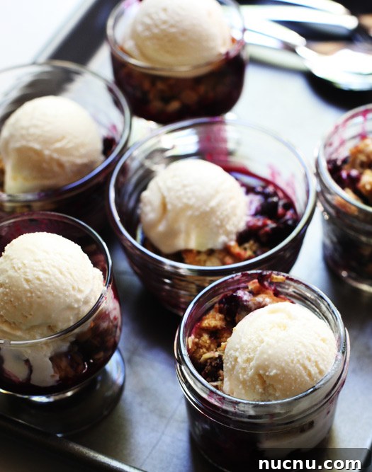 blueberry-crisp-a-la-mode img 10126 2