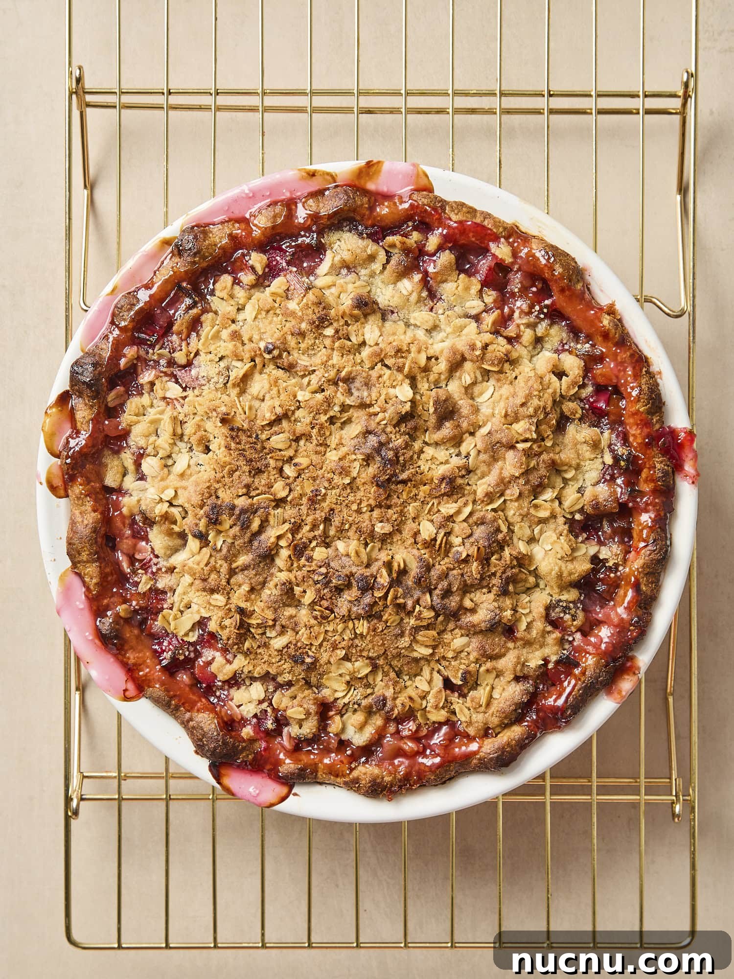 Baked rhubarb pie on cooling rack.
