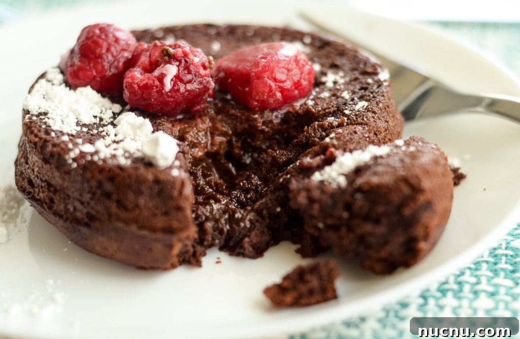 Air Fryer Chocolate Lava Cake (Gluten-Free Option) 5 gluten free air fryer chocolate hot lava cake