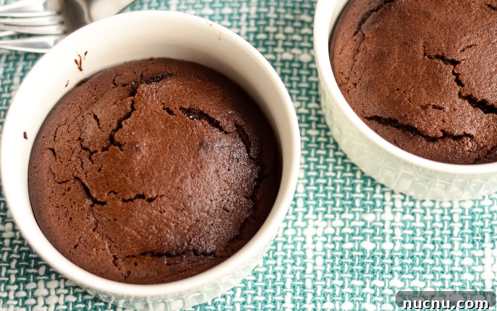Air Fryer Chocolate Lava Cake (Gluten-Free Option) 7 gluten free air fryer chocolate hot lava cake