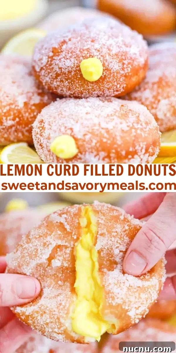 easy l3emon curd filled donuts pin
