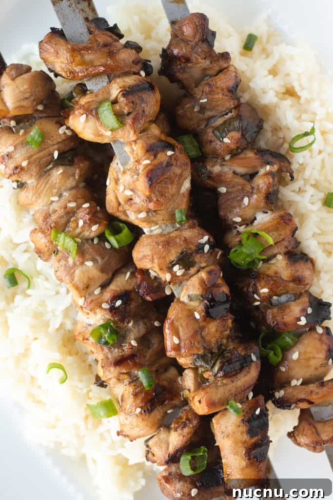 Gluten-Free Teriyaki Marinade Recipe for Stir-Fries & Grilling 3 Top down shot of grilled chicken pieces on metal skewers over white rice with sesame seeds and chopped green onion on top.
