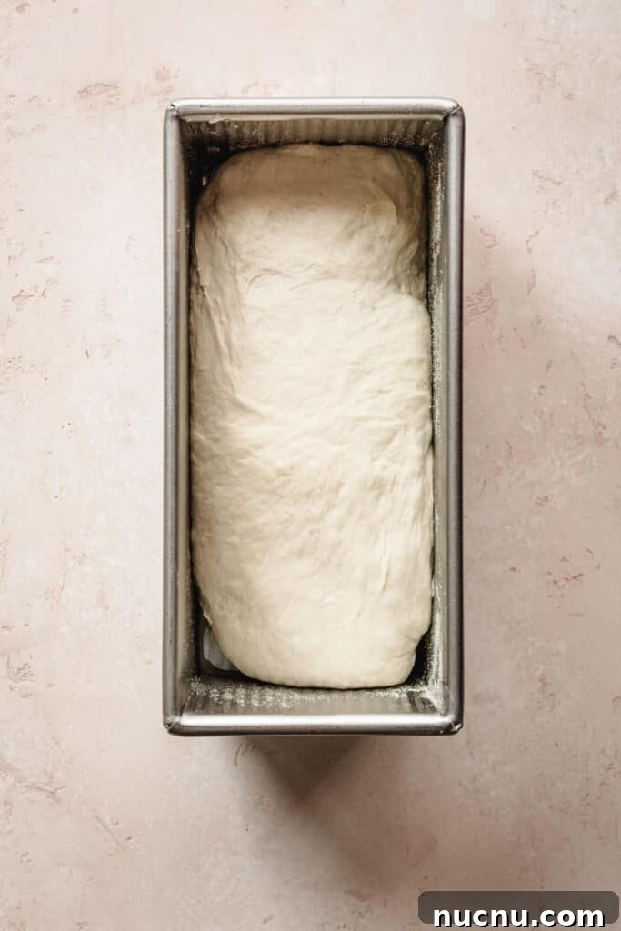 Homemade English Muffin Sandwich Bread Recipe for Soft Sandwiches 5 Making homemade sandwich bread that tastes like an English muffin is easy with this recipe.