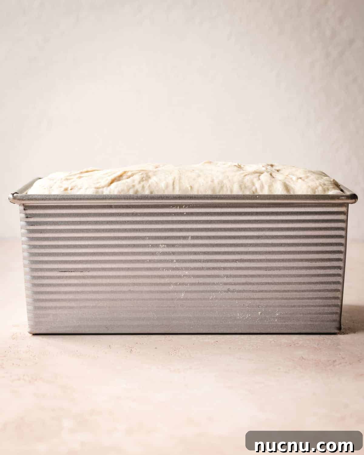 Homemade English Muffin Sandwich Bread Recipe for Soft Sandwiches 7 This English muffin sandwich bread has the nooks and crannies you love in a regular English muffin.