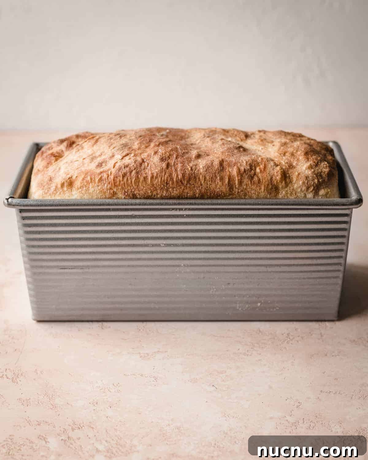 Homemade English Muffin Sandwich Bread Recipe for Soft Sandwiches 8 This English muffin sandwich bread will make your house smell heavenly.