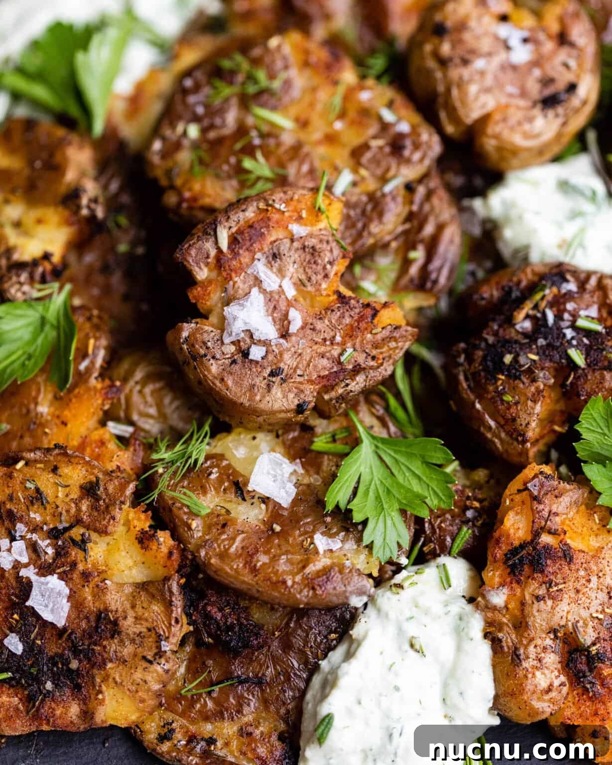 Crispy Smashed Potatoes with Whipped Herb Ricotta Dip 3 up close photo of smashed potatoes