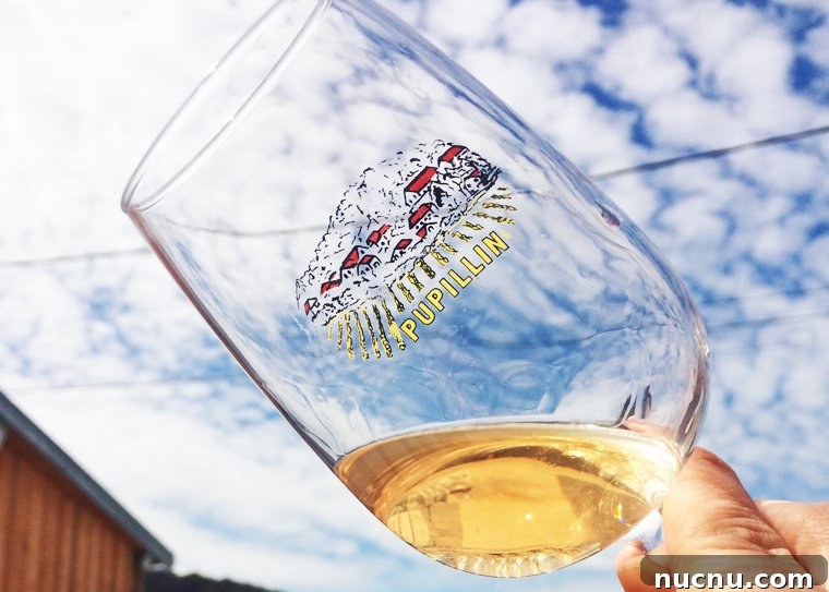 Vin jaune looking golden and gorgeous in the sunlight.