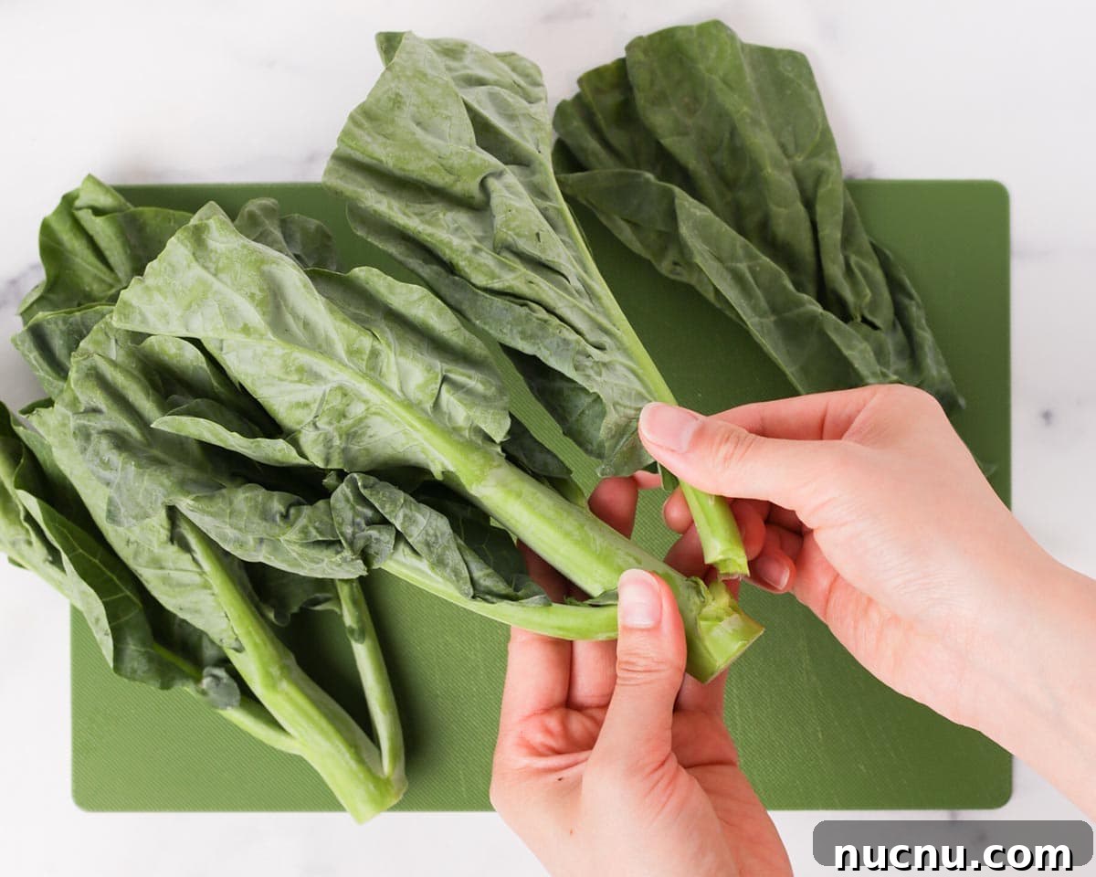 Separating leaves and stems