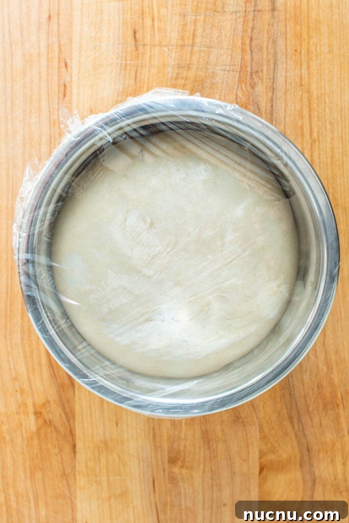 Room temp pizza dough that has risen in a stainless steel bowl.