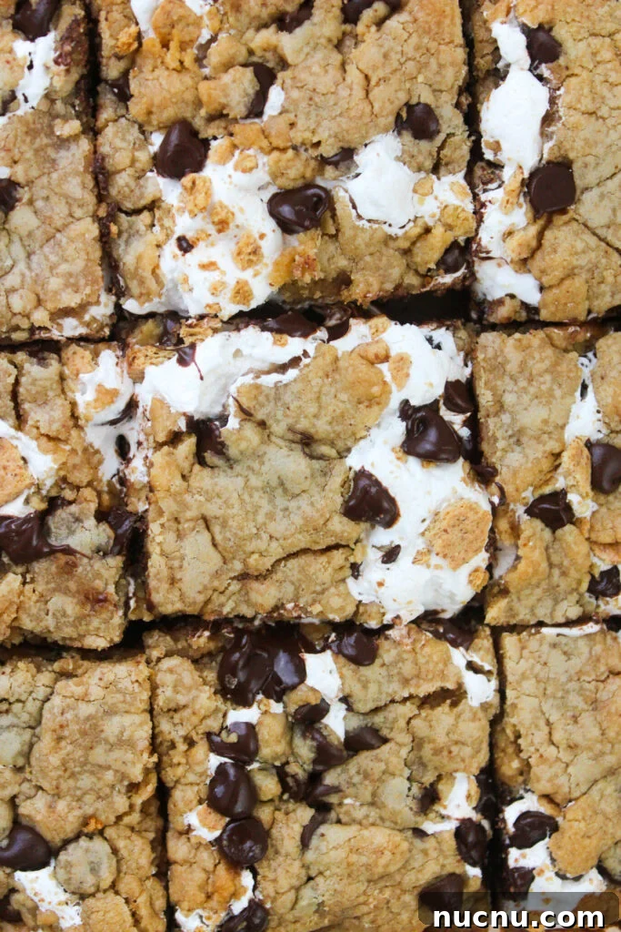 Peanut butter s'mores bars