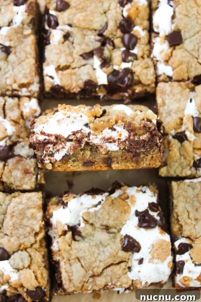 Closeup of s'mores bars