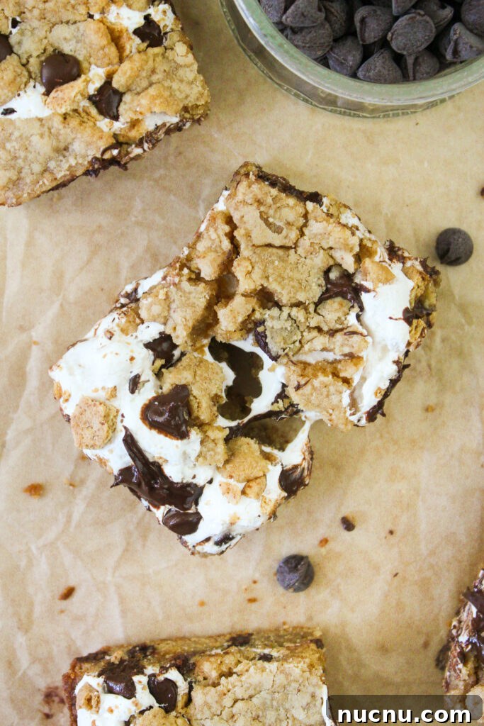S'mores bar slice