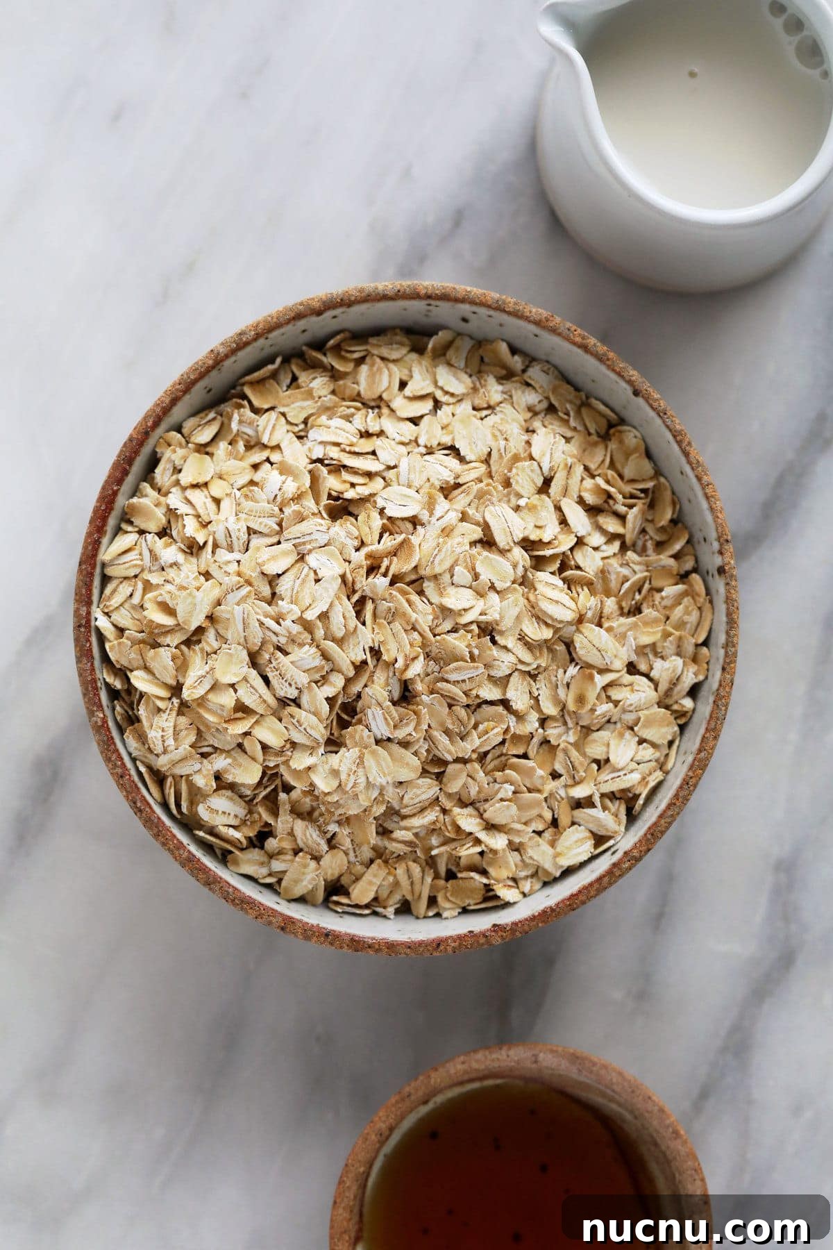 Instant Pot Oatmeal bowl of rolled oats