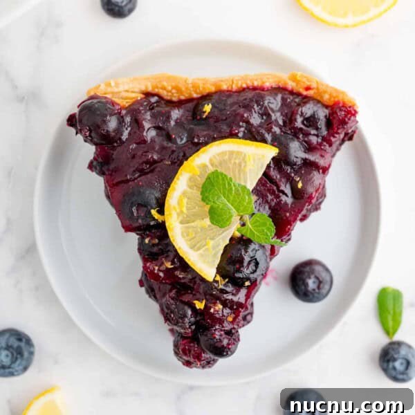 Overhead view of fresh blueberry pie on a white plate.