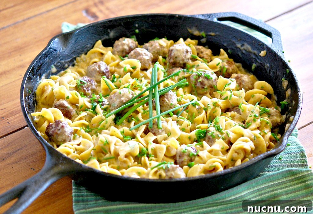 One-Pot Ground Beef Recipes for Quick Weeknight Dinners 5 Skillet-Meatballs-and-Noodles-in-Creamy-Herb-Sauce