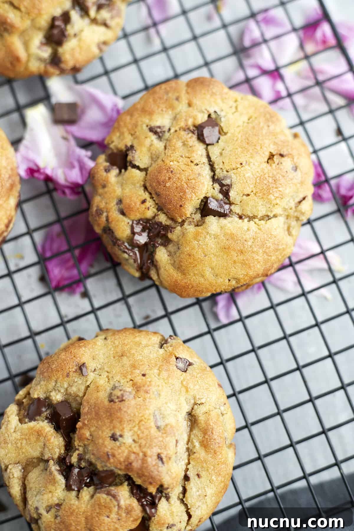 ultimate chocolate chip cookies in a cooling rack
