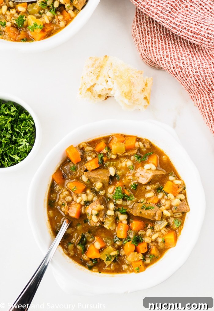 Hearty Beef and Barley Soup Recipe for Comforting Weeknight Meals 2 Bowl of Beef Barley Soup.