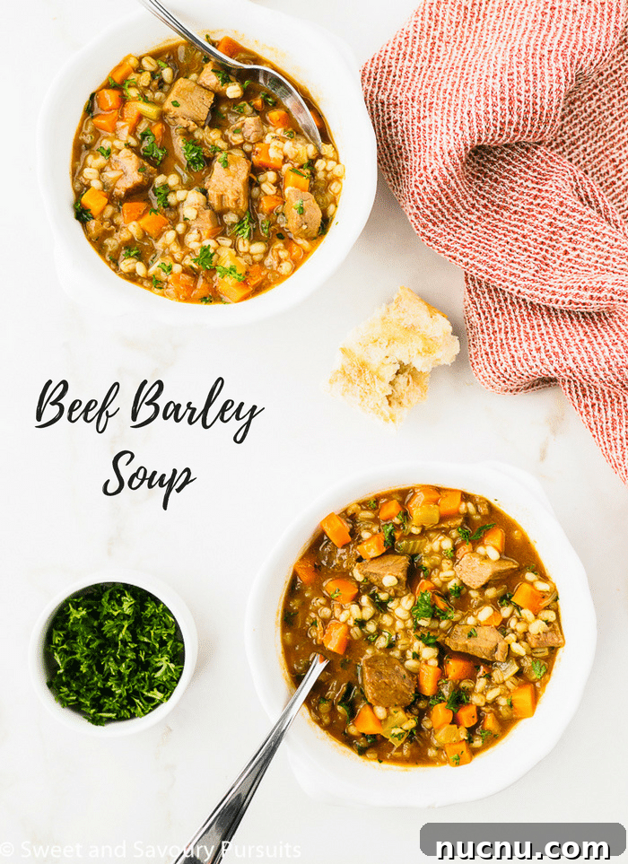 Hearty Beef and Barley Soup Recipe for Comforting Weeknight Meals 4 Beef Barley Soup served in two white bowls.