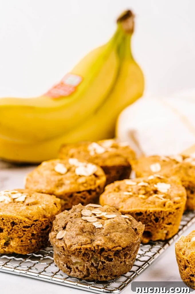 Dairy-Free Banana Muffins Your Family Will Love 11 Banana Muffins
