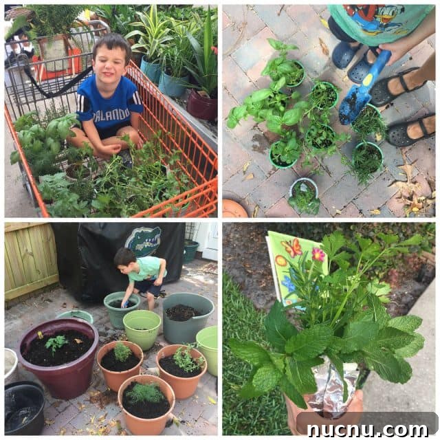 Child helping with herb garden