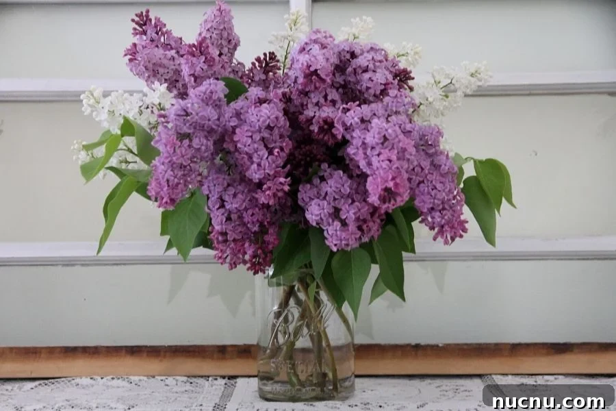 a mason jar filled with lavendar and white lilacs