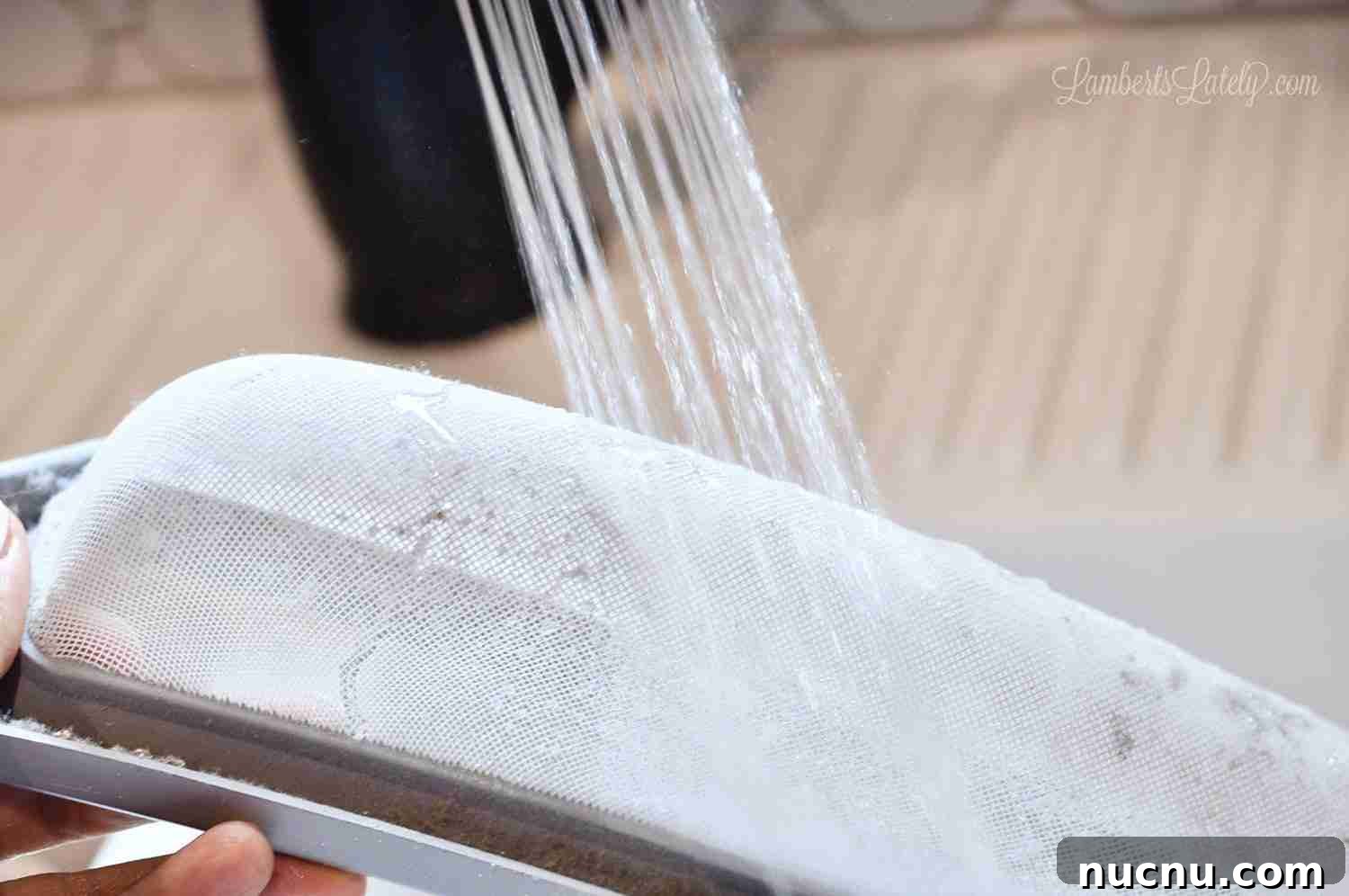 washing out a dryer filter