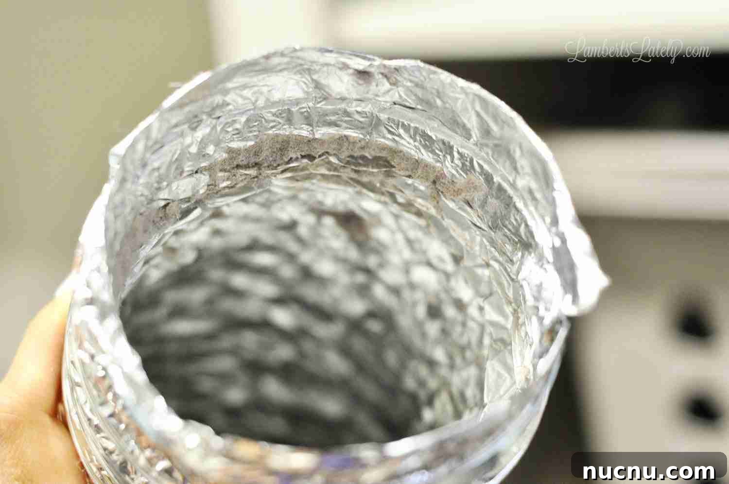 inside of a dryer vent hose