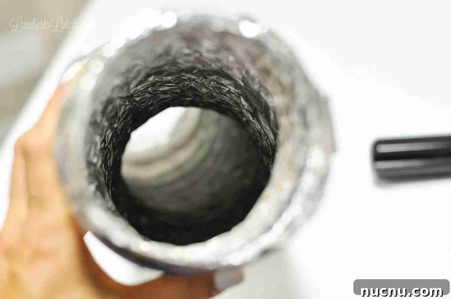 inside of a dryer vent hose