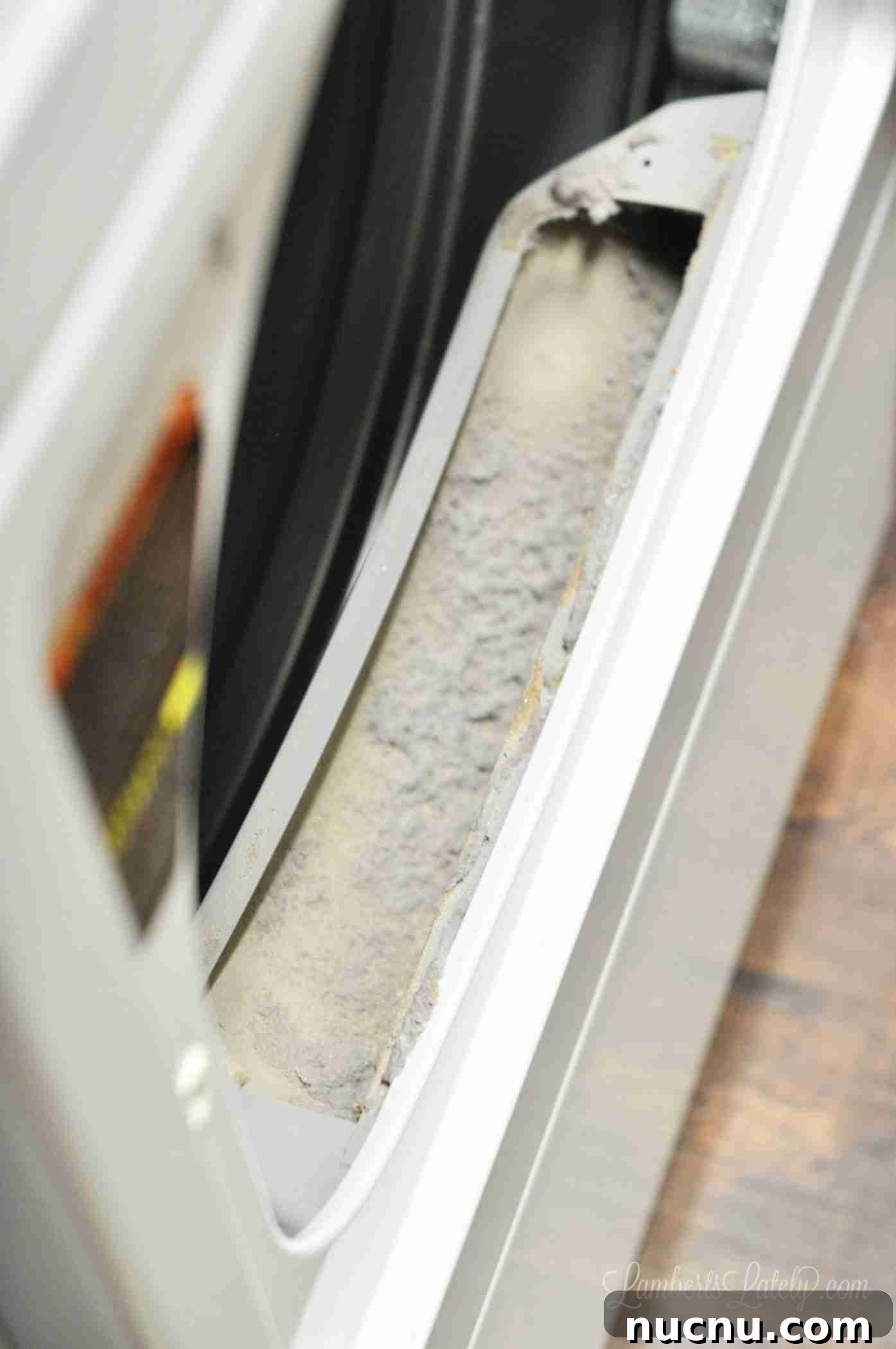 dryer vent without filter; lots of lint