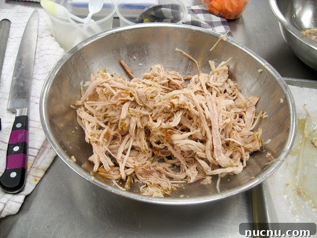 shredded pork belly 