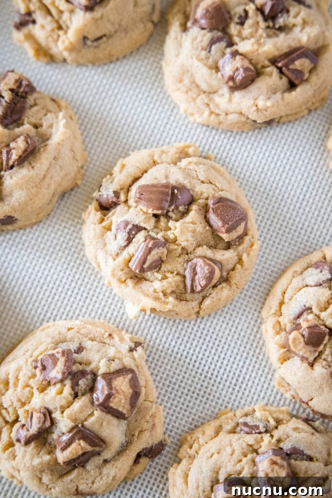 Chewy Reese’s Peanut Butter Cookies Recipe 5 baked peanut butter cookies on a baking sheet