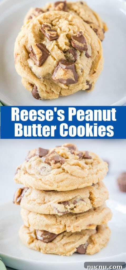 Chewy Reese’s Peanut Butter Cookies Recipe 6 close up Reese's peanut butter cookies for pinterest