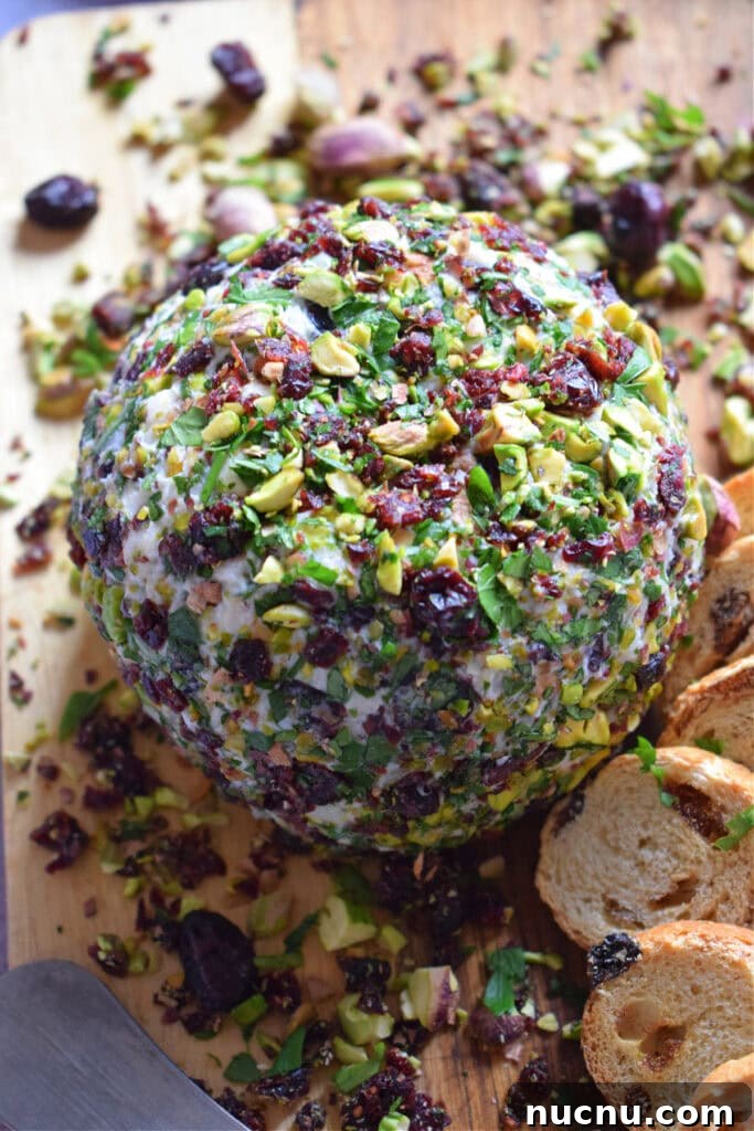Cranberry Pistachio Goat Cheese Ball Recipe for Parties 15 Close up of the cranberry and pistachio goat cheese ball.