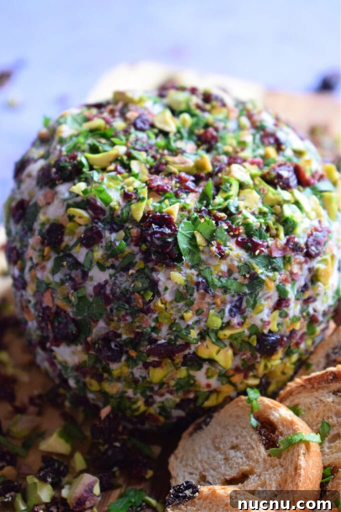 Cranberry Pistachio Goat Cheese Ball Recipe for Parties 4 Close up view of a pistachio and cranberry cheese ball.