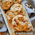 Vegan Monster Cookie Recipe: Chewy Oat & Chocolate Chip Cookies 5 img 16411 5
