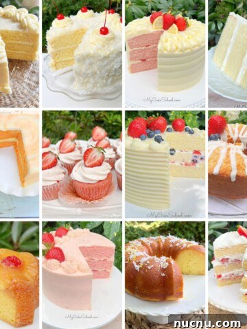 Favorite Fruity Cakes for Summer