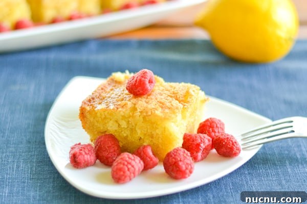 Zesty Lemon Olive Oil Cake Recipe for Moist, Tender Loaf 2 img 1712 3