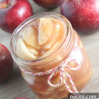 Freezer-Friendly Apple Pie Filling for Fast Holiday Desserts 2 Apple Pie Filling