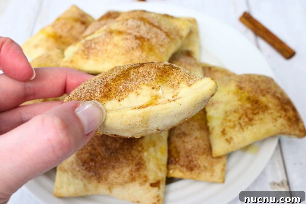 Air Fryer Sopapillas Recipe: Crispy Mexican Sweet Dessert 10 holding up a fluffy air fryer sopapillas with cinnamon sugar on top