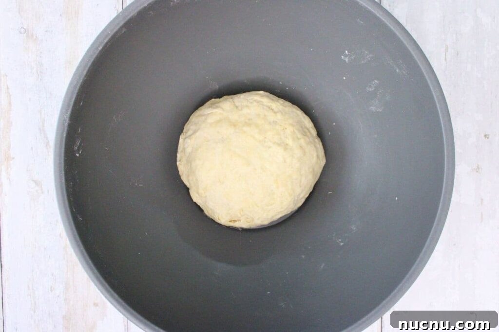 Air Fryer Sopapillas Recipe: Crispy Mexican Sweet Dessert 6 add shortening and warm water and stir until the dough forms