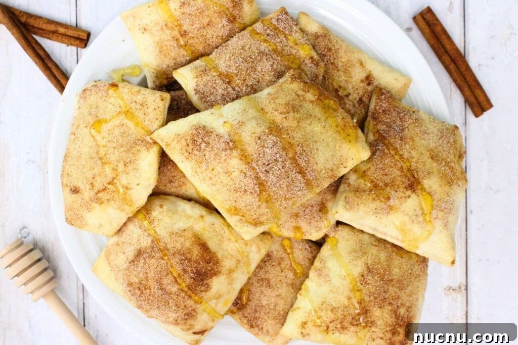 Air Fryer Sopapillas Recipe: Crispy Mexican Sweet Dessert 9 overhead view of air fryer sopapillas on a plate with cinnamon sugar and drizzled honey