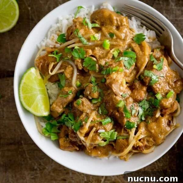 Authentic Thai Green Chicken Curry Recipe (Step-by-Step) 12 Thai style peanut pork on rice