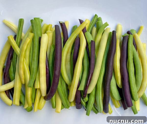 mixed fresh wax beans from garden green, yellow and burgundy