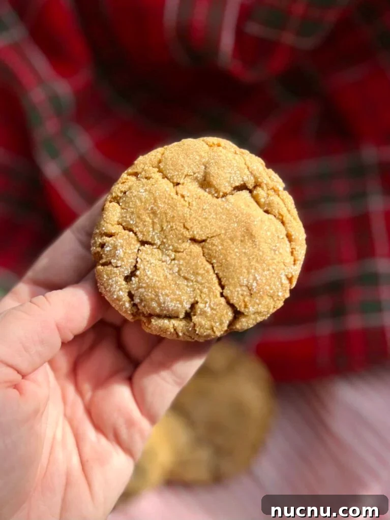 A ginger molasses cookie being held by a hand.