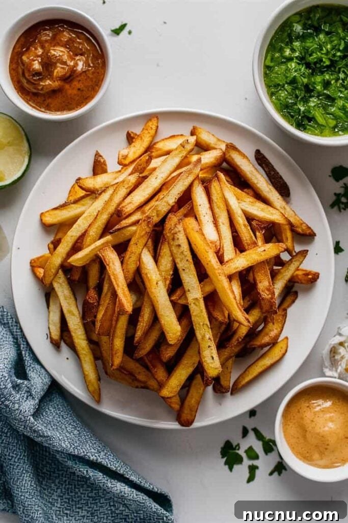 Crispy Air Fryer French Fries: Foolproof Recipe for Beginners 2 Crispy Air Fryer French Fries for Beginners