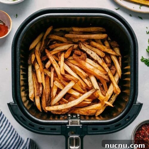 Crispy Air Fryer French Fries: Foolproof Recipe for Beginners 3 air-fryer french fries