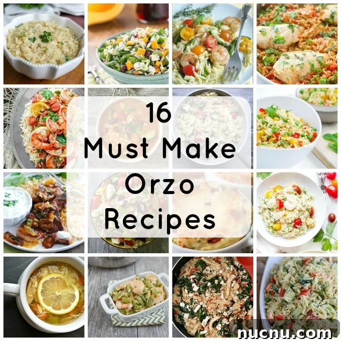 16 Flavorful Orzo Recipes You’ll Want to Cook Tonight 2 16 Must Make Orzo Recipes- so good