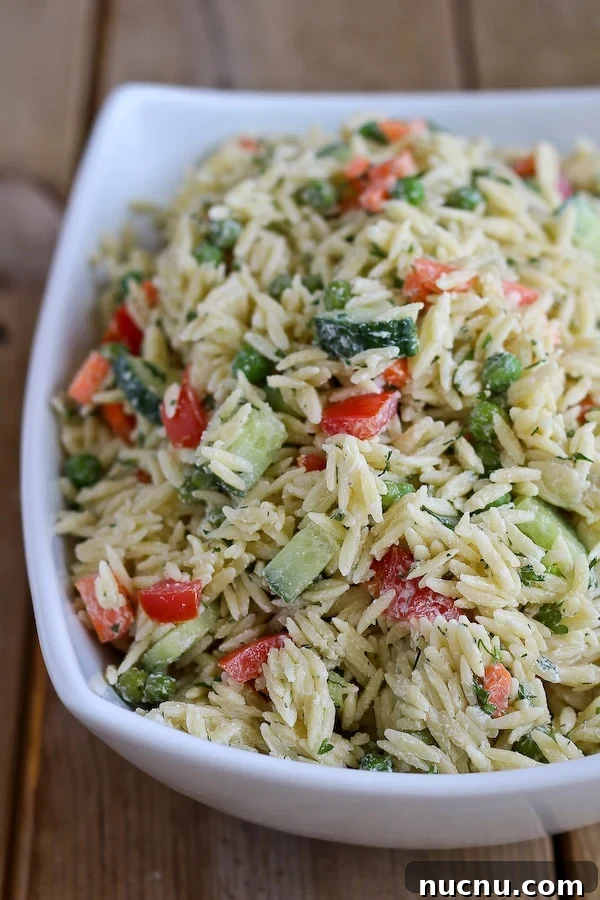 16 Flavorful Orzo Recipes You’ll Want to Cook Tonight 13 orzo-salad-yogurt-dill-dressing-600-2-of-4